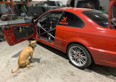 Jeklefab-Red-BMW-Roll-Cage8a-with-dog